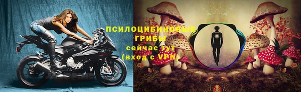 героин Алексин