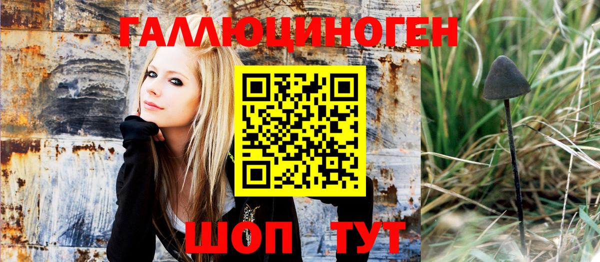 где продают наркотики  Вход с VPN  Краснотурьинск  Псилоцибиновые грибы MAGIC MUSHROOMS 