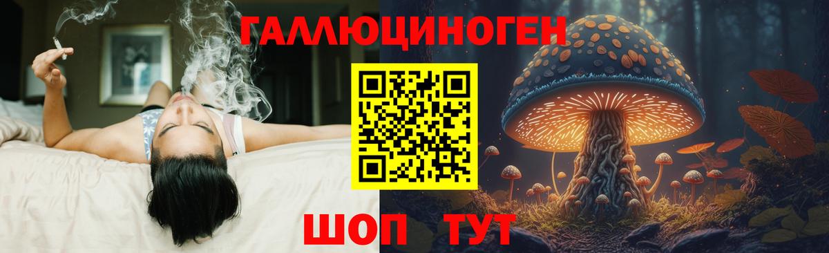 Псилоцибиновые грибы GOLDEN TEACHER Краснотурьинск